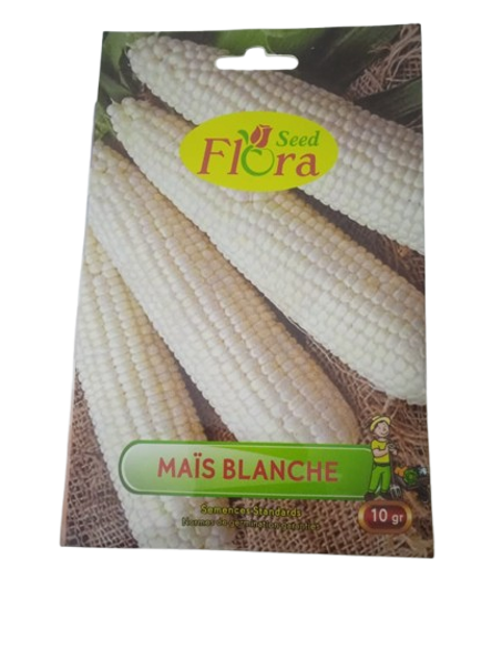 Graines de Maïs blanche 10g