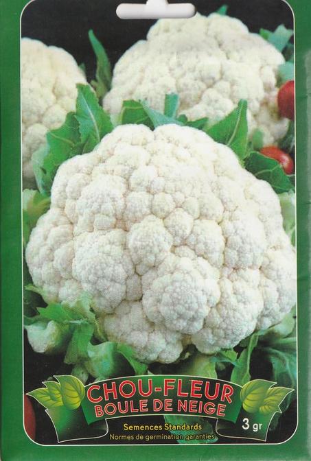 grains de legume chou-fleur boule de niege paiment a la livraison + livraison gratuite partout au maroc
