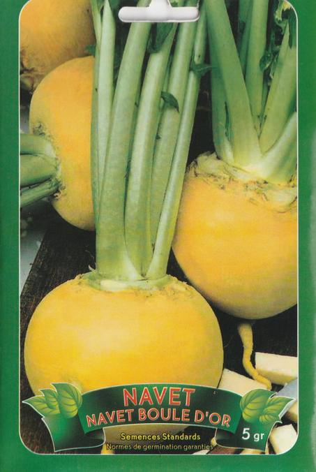 grains de legume navet boule d or pour plantation livraison gratuite dans tout le maroc + paiment a la livraison