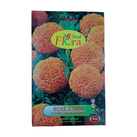 Rose d'Inde Double Naine