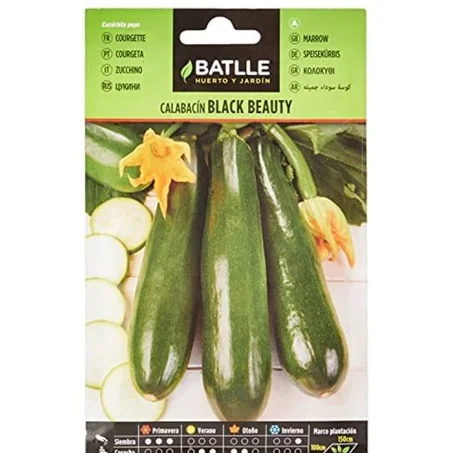 Semillas Batlle Graines de courgettes black beauty 8 grammes