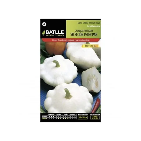 VT Graines de patisson