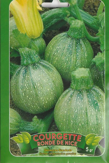 grains de legume courgette de nice paiment a la livraison + livraison gratuite partout au maroc
