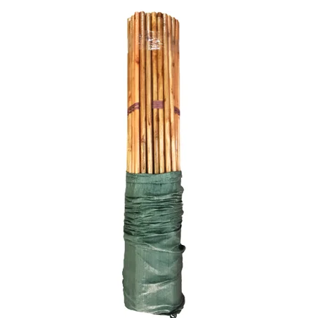 (50 PCS)عصا خشب ڤيرني