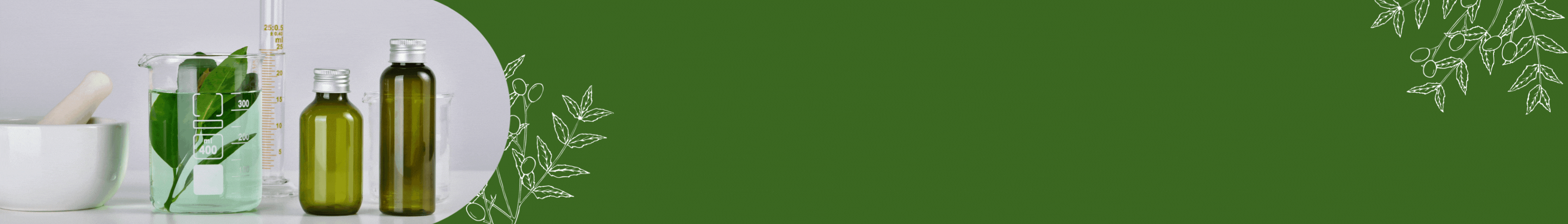 image pleine largeur