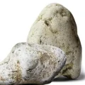 Ambre gris 