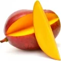 Mangue genus Mangifera