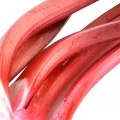 Rhubarbe gen. Rheum, fam. Polygonaceae