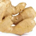 Gingembre Zingiber officinale