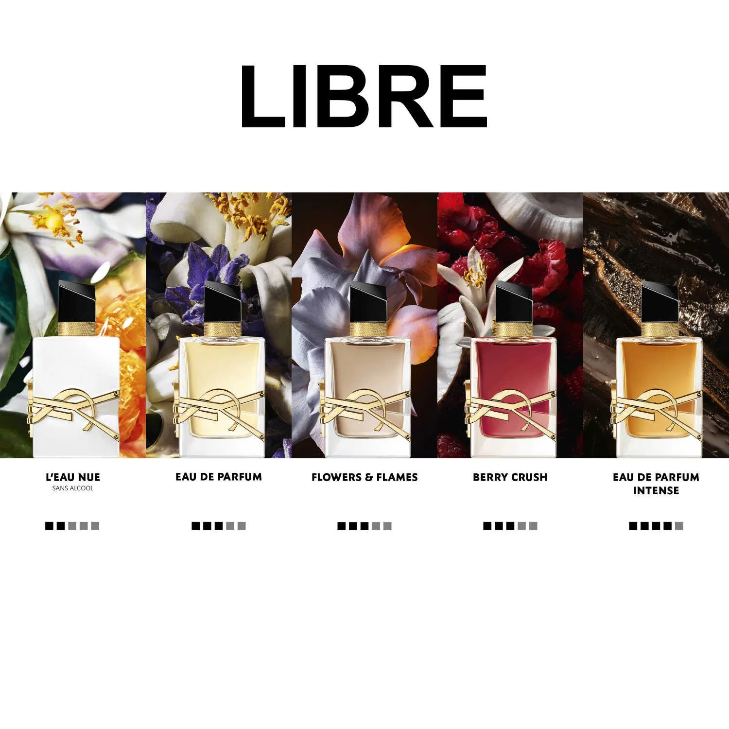 Libre Intense Yves Saint Laurent for women