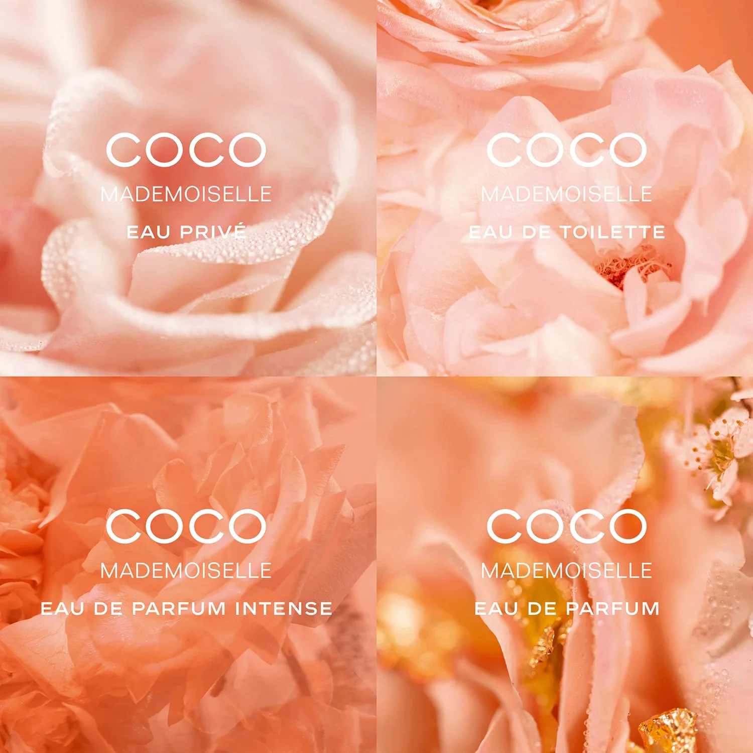 CHANEL COCO MADEMOISELLE Eau De Parfum Vaporisateur