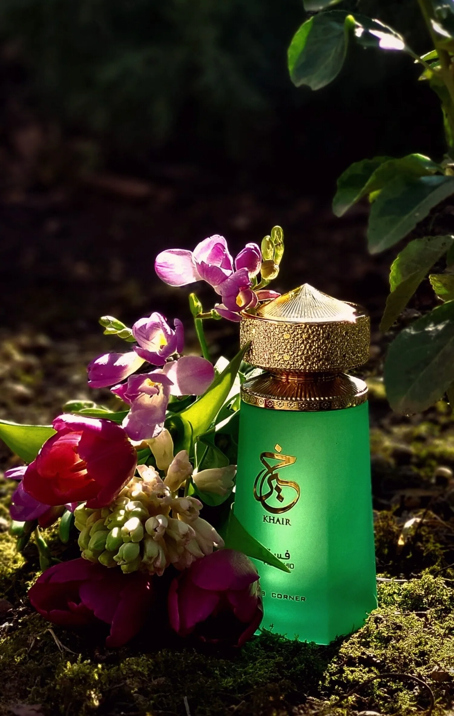 Khair Pistachio PARIS CORNER for women and men