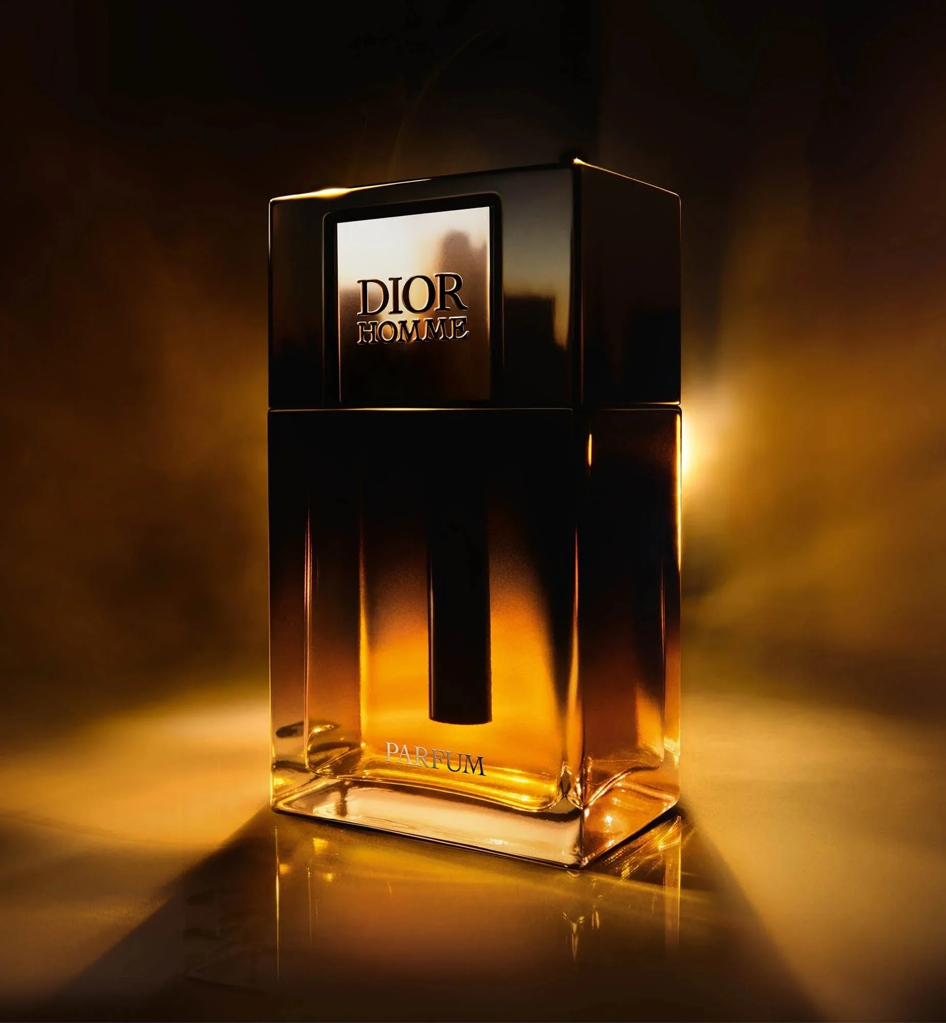 Dior Homme Parfum 2025 Dior pour homme