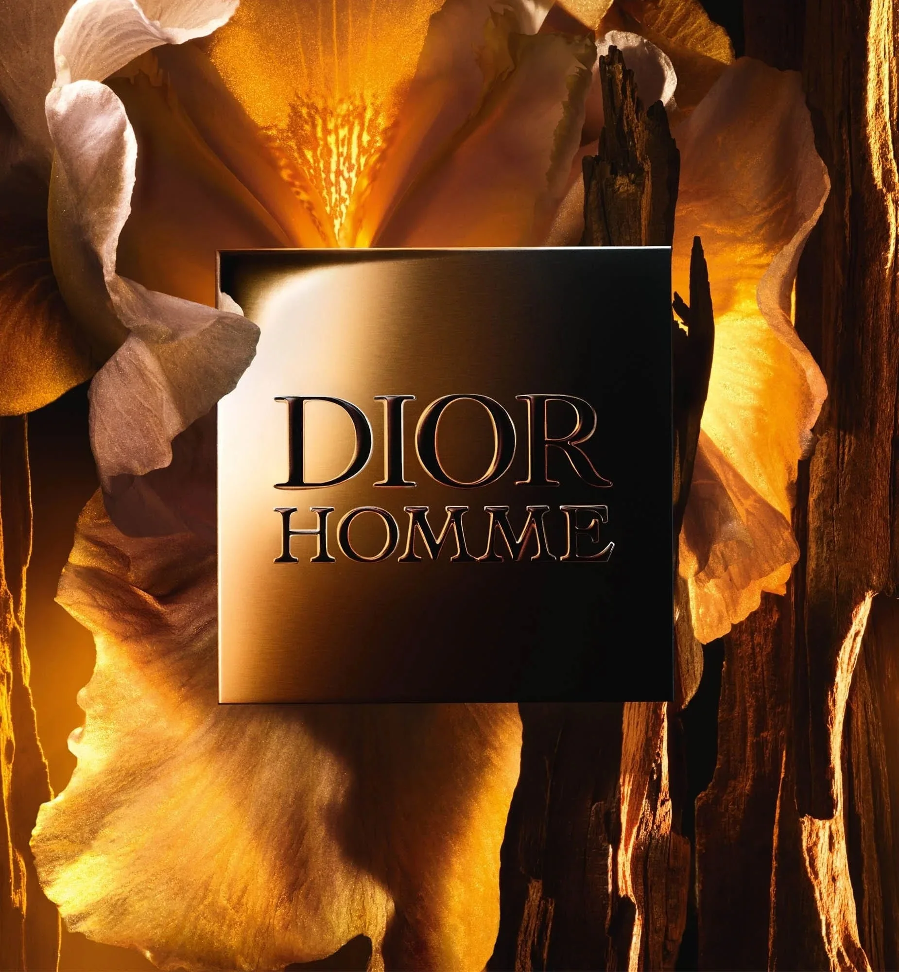 Dior Homme Parfum 2025 Dior pour homme