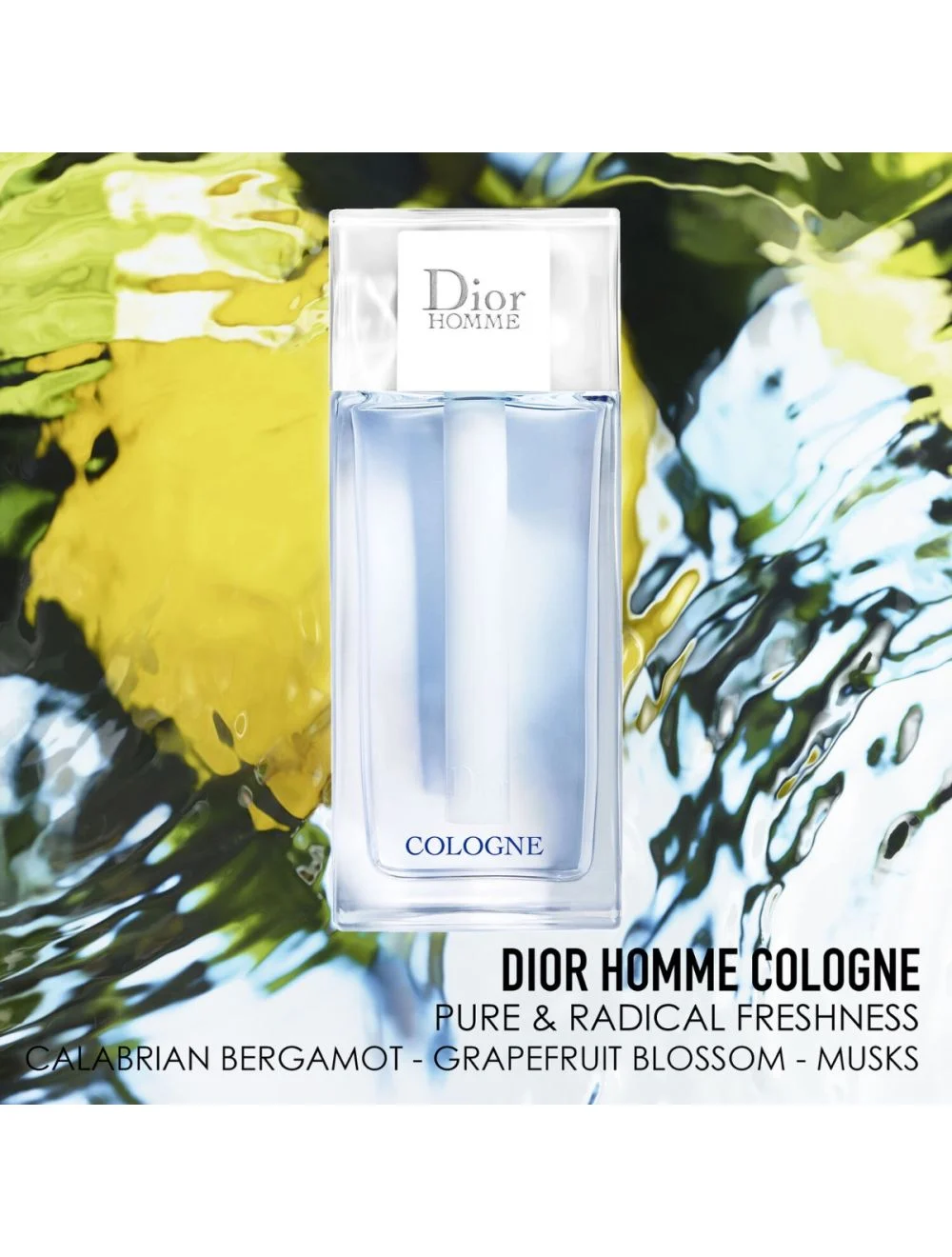 Dior Homme Cologne 2022 Dior for men