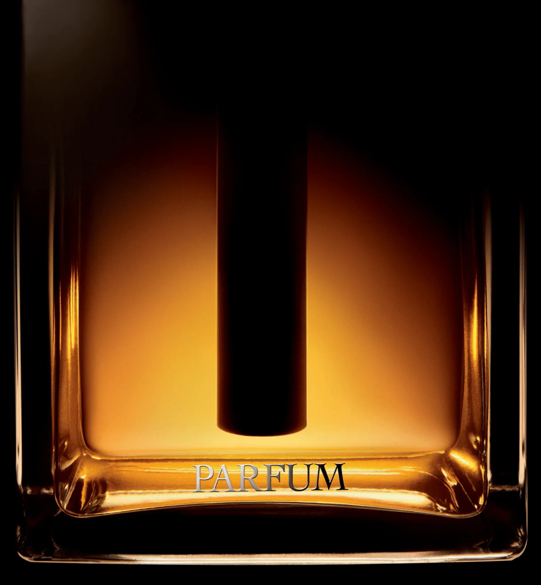 Dior Homme Parfum 2025 Dior pour homme