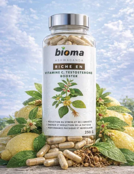 المنتج الثاني