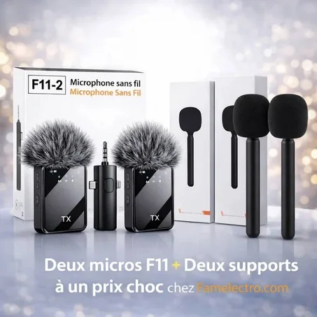 Ensemble Micro F11 avec deux Supports