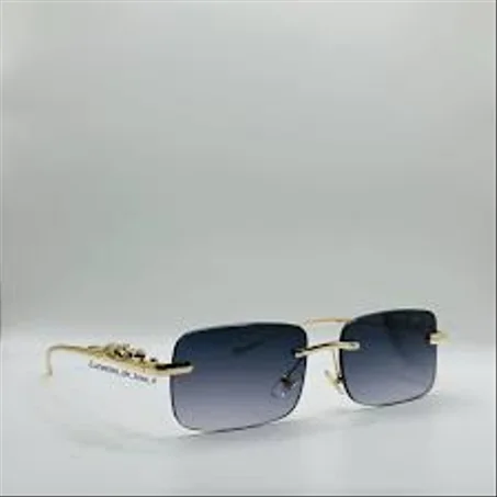 Lunettes