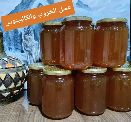 Miel de caroube et d'eucalyptus عسل الخروب والكاليبتوس