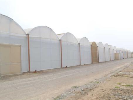 Serres Multichapelles