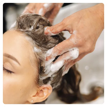 Shampooing Maroc