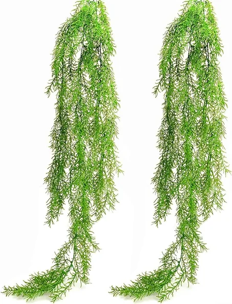 شلال نباتات معلق باللون الاخضر