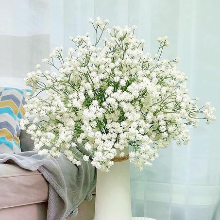 Gypsophila Flowers for Wedding Home Garden Decoration (White - Pack of 6)