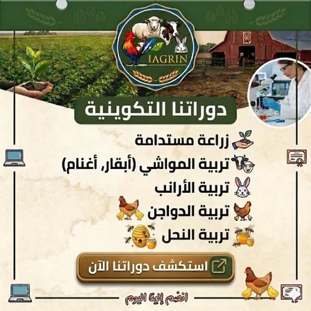 المعهد الفلاحي الدولي