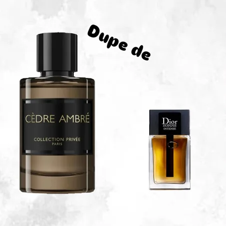 CÈDRE AMBRÉ