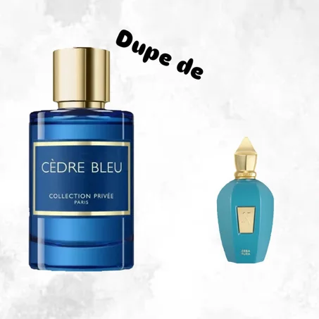 CÈDRE BLEU