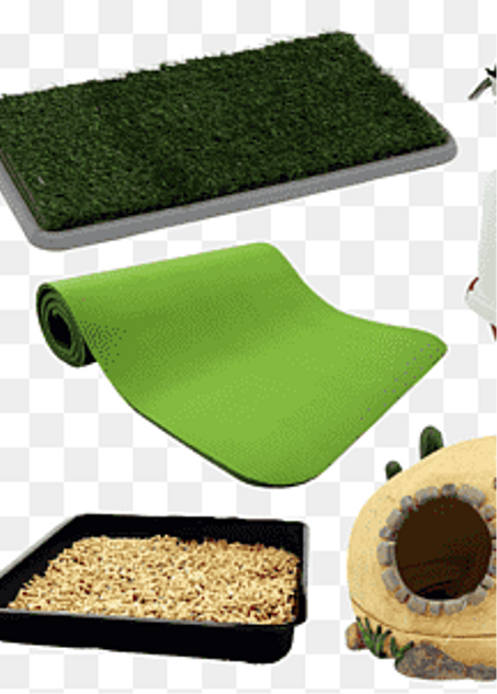 مستلزمات الحيوانات الاليفة