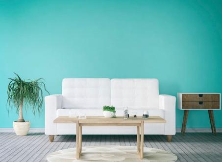 Βιολογικός καθαρισμός καναπέ