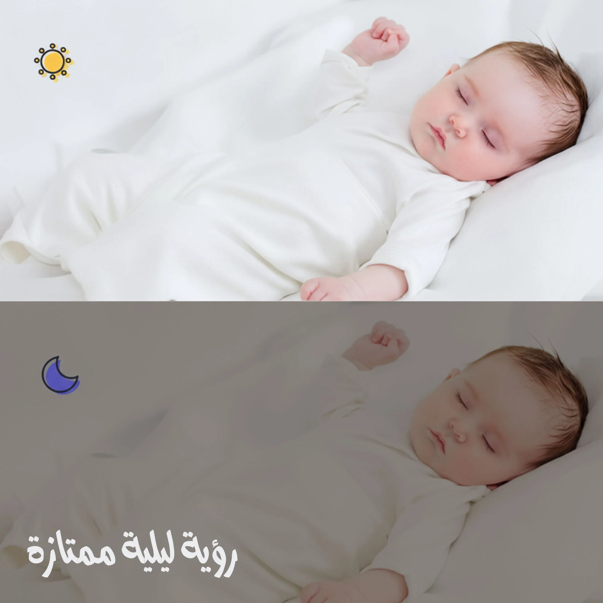 كاميرا دينكس ضمان عاميين