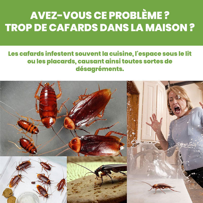 Cockroach Control Bait Killing Gel