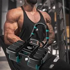 Roller Abdominaux 4 Roues