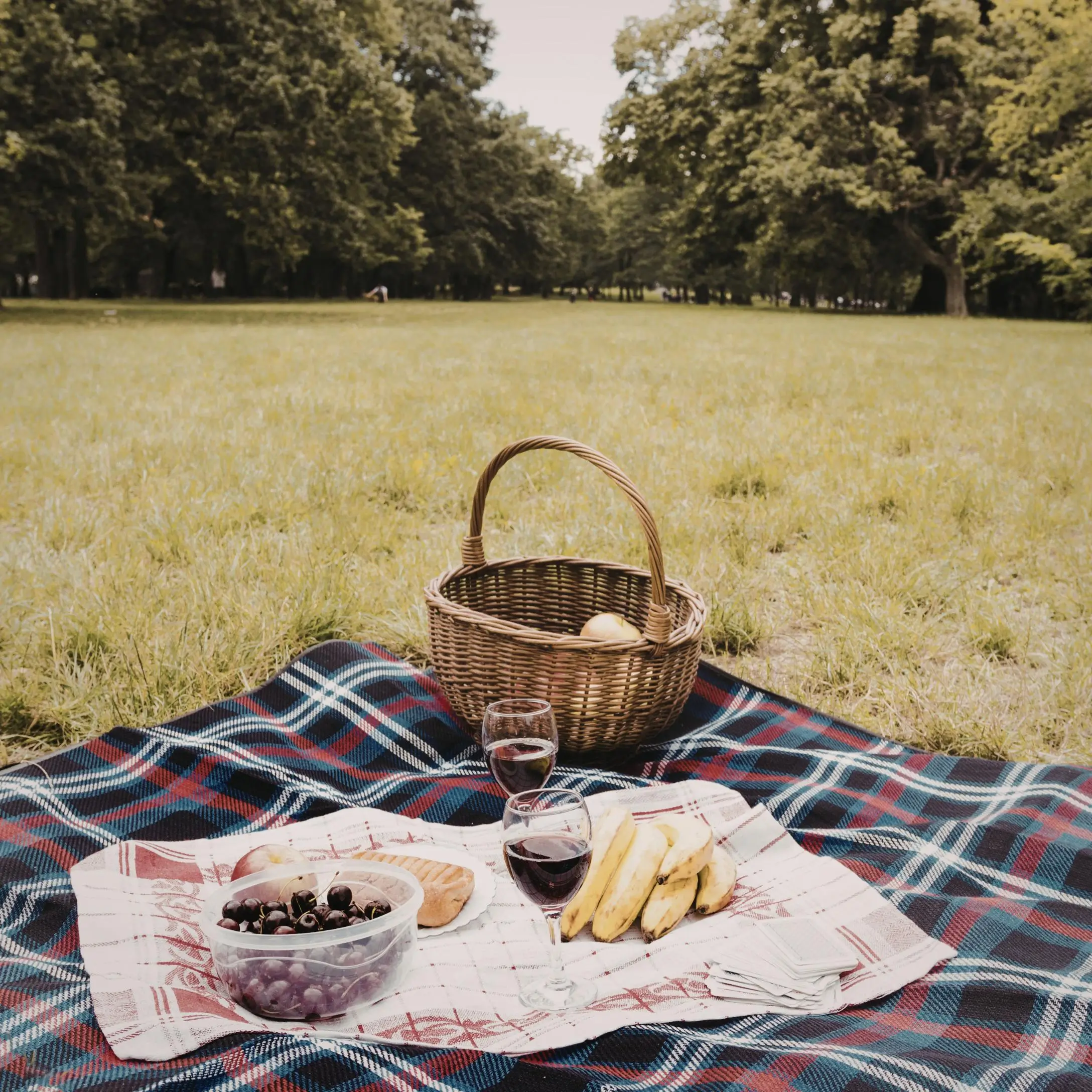 Picnic