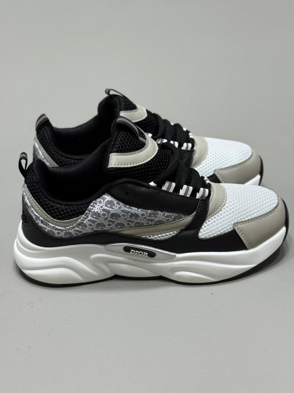 dior b 22