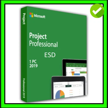 Ms Projeect 2019 Professional