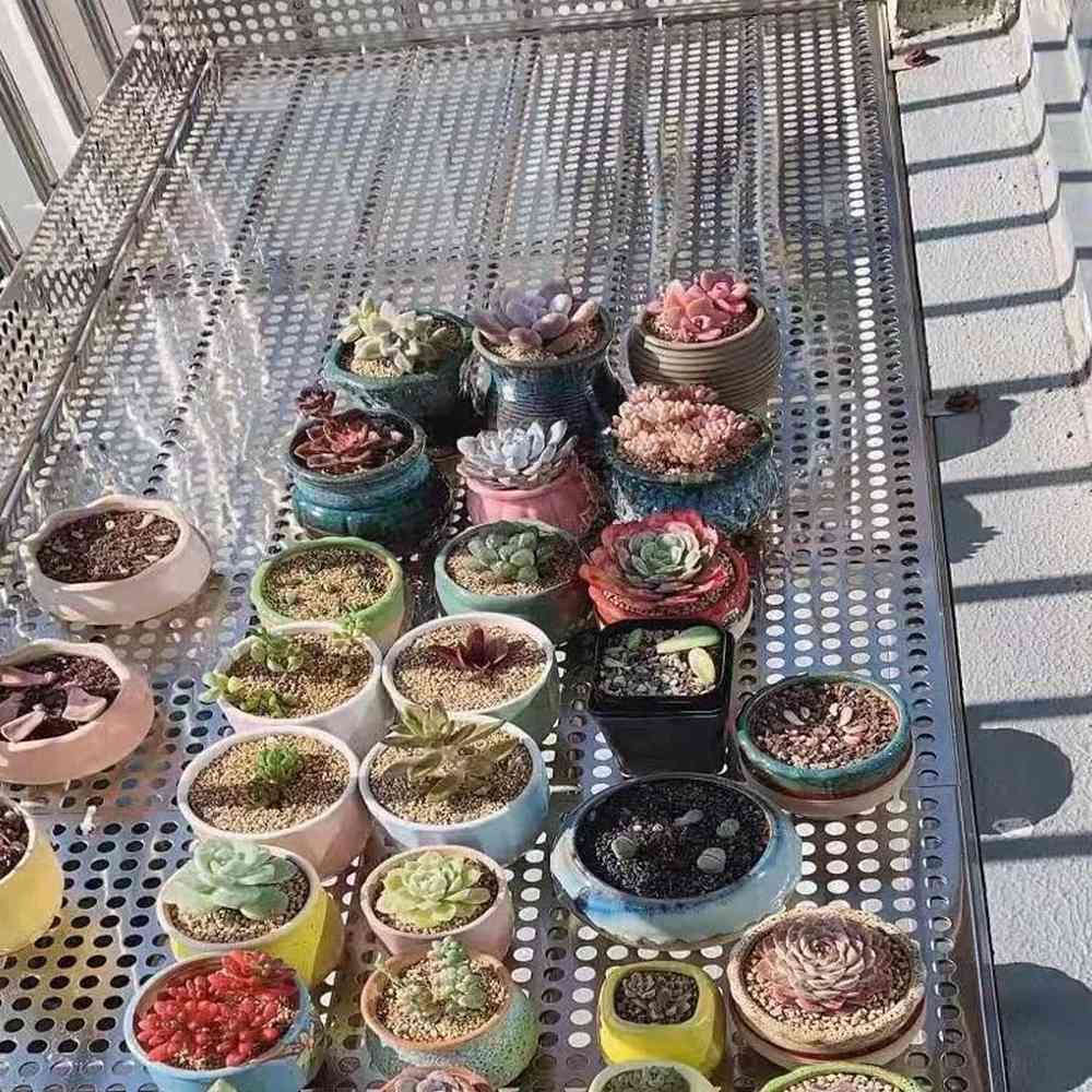 صفائح معدنية مثقبة لتغطية البلكونة أو النافذة – مقاومة للصدأ ومثالية للنباتات والديكور