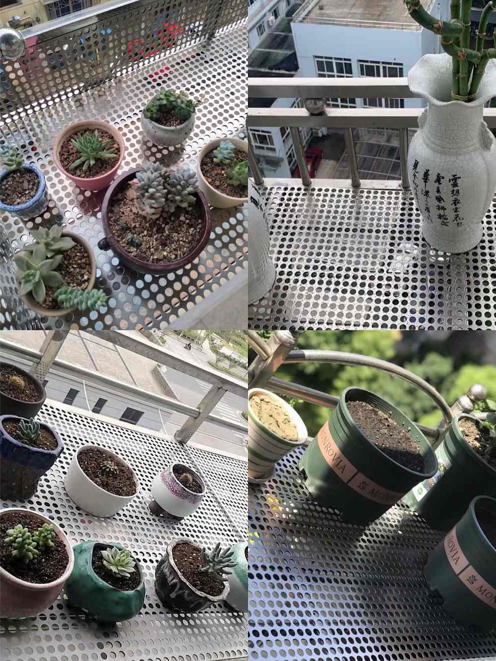 صفائح معدنية مثقبة لتغطية البلكونة أو النافذة – مقاومة للصدأ ومثالية للنباتات والديكور