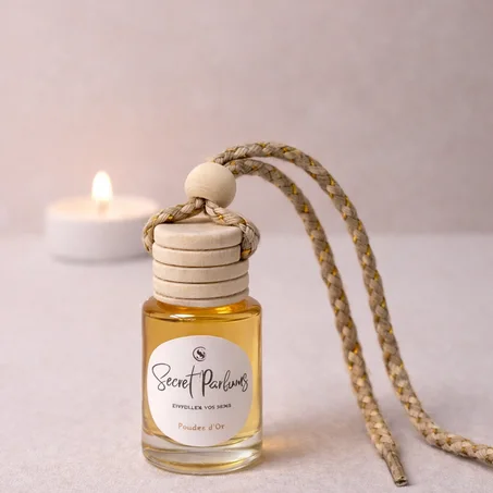 Nos Diffuseur Voiture