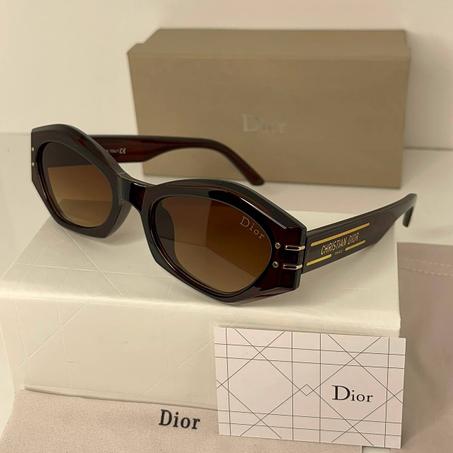 DIOR Statement Marron