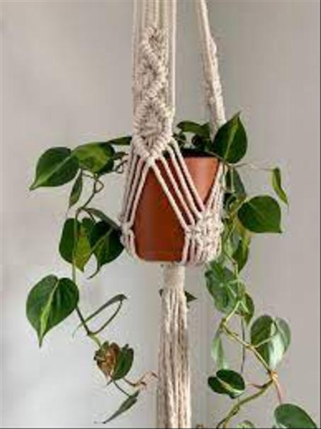 مكرمية نباتات علاقة نباتات حامل نباتات حديثة