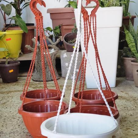 لوازم الأشجار والنباتات