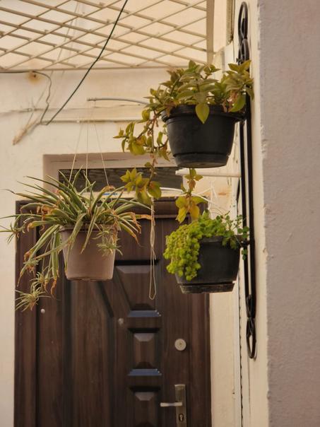 ستاند للنباتات ( fer forgé)