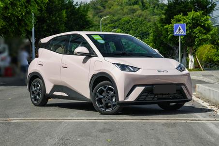 2021-2025 BYD Seagull