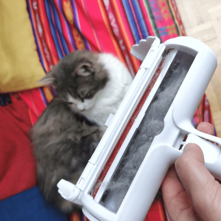 مزيل الوبر و فراء الحيوانات الأليفة من الأثاث و الملابس