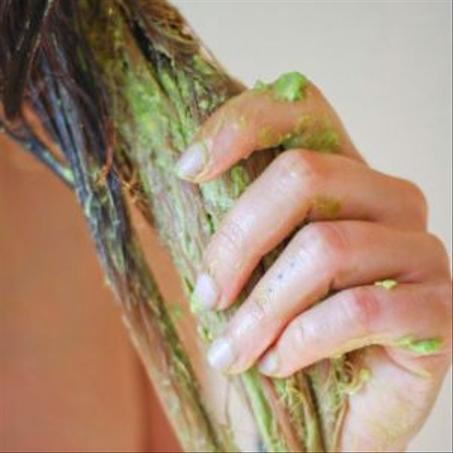 أعشاب مغربية خاصة بالشعر