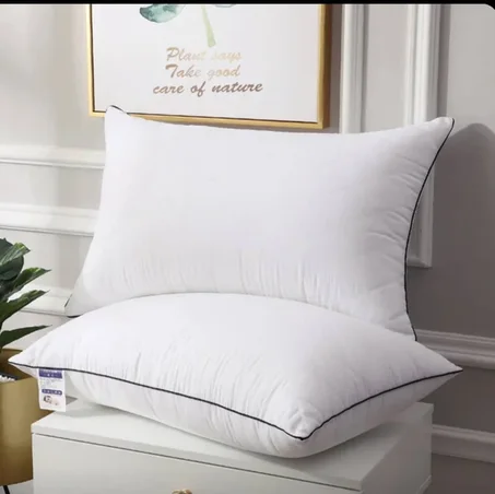 Lot de 2 Oreillers Orthopédiques Top Qualité Lavable